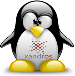 penguin pingouin pinguino 936